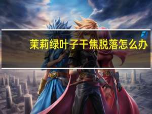茉莉绿叶子干焦脱落怎么办