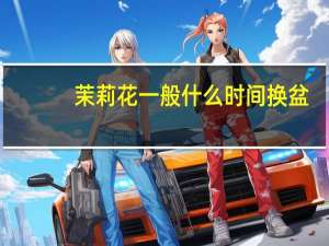 茉莉花一般什么时间换盆