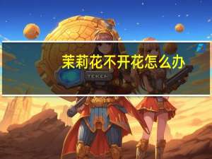 茉莉花不开花怎么办：注意修剪和施肥