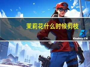 茉莉花什么时候剪枝