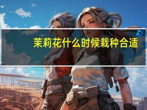 茉莉花什么时候栽种合适