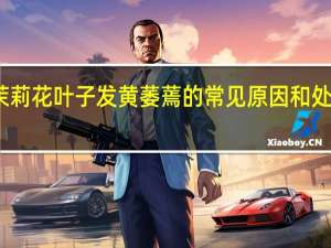 茉莉花叶子发黄萎蔫的常见原因和处理方法