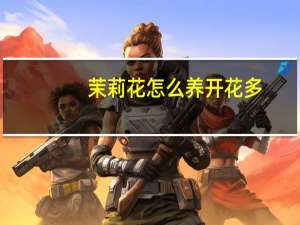 茉莉花怎么养开花多
