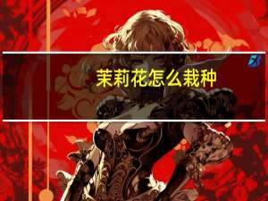 茉莉花怎么栽种