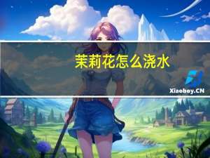 茉莉花怎么浇水