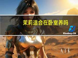 茉莉适合在卧室养吗