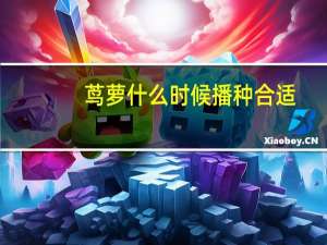 茑萝什么时候播种合适