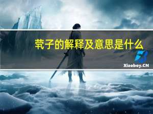 茕子的解释及意思是什么