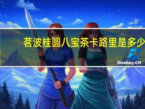 茗波 桂圆八宝茶卡路里是多少