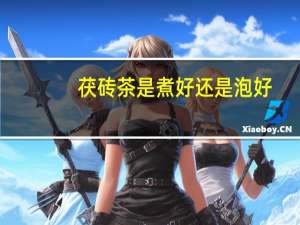 茯砖茶是煮好还是泡好