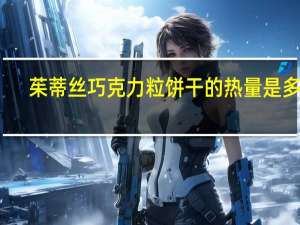 茱蒂丝 巧克力粒饼干的热量是多少