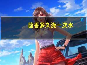 茴香多久浇一次水