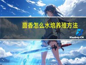 茴香怎么水培养殖方法