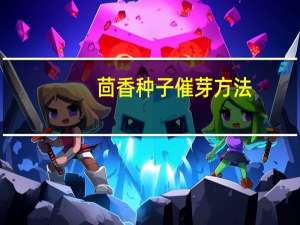 茴香种子催芽方法