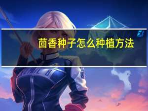 茴香种子怎么种植方法