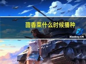 茴香菜什么时候播种
