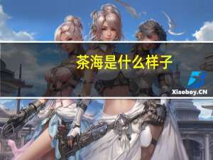 茶海是什么样子