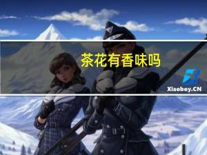 茶花有香味吗