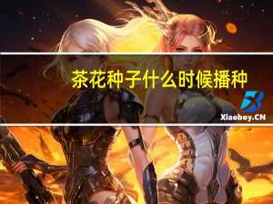 茶花种子什么时候播种