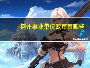 荆州事业单位政审审哪些