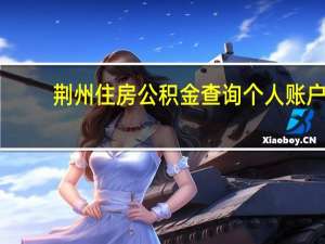 荆州住房公积金查询个人账户（荆州市公积金查询个人账户有哪些方式）
