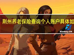 荆州养老保险查询个人账户 具体如何查