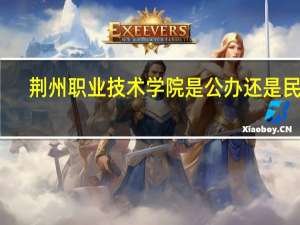 荆州职业技术学院是公办还是民办