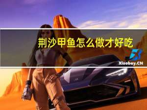 荆沙甲鱼怎么做才好吃