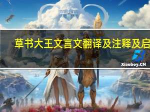 草书大王文言文翻译及注释及启示（草书大王原文及翻译）