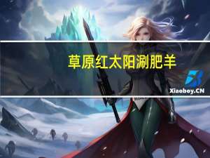 草原红太阳 涮肥羊(美味清汤)的热量是多少