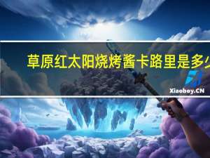 草原红太阳 烧烤酱卡路里是多少