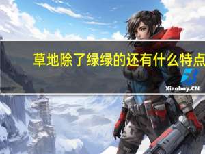 草地除了绿绿的还有什么特点