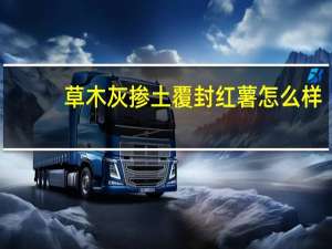 草木灰掺土覆封红薯怎么样