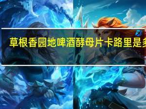 草根香园地 啤酒酵母片卡路里是多少