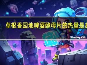 草根香园地 啤酒酵母片的热量是多少