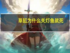 草缸为什么关灯鱼就死