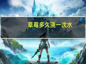 草莓多久浇一次水