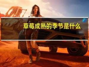 草莓成熟的季节是什么