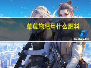 草莓施肥用什么肥料