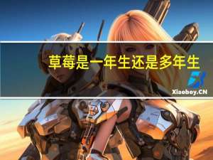 草莓是一年生还是多年生