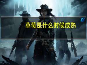 草莓是什么时候成熟