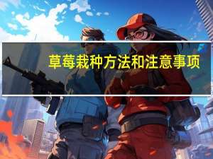 草莓栽种方法和注意事项