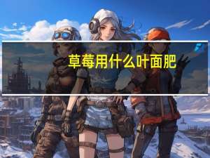 草莓用什么叶面肥