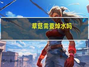 草菇需要焯水吗
