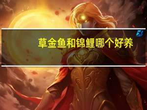 草金鱼和锦鲤哪个好养