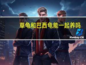 草龟和巴西龟能一起养吗