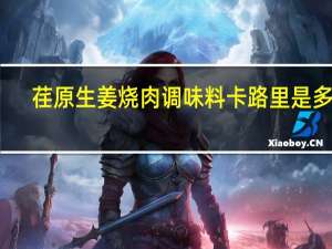 荏原 生姜烧肉调味料卡路里是多少