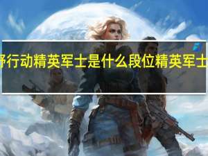 荒野行动精英军士是什么段位 精英军士段位详解-新手攻略-安族网