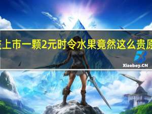 荔枝上市一颗2元 时令水果竟然这么贵原因是什么