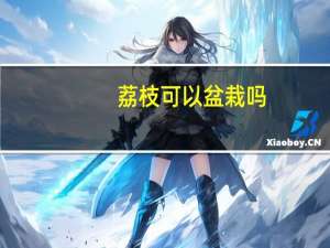 荔枝可以盆栽吗